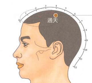 通天穴位置